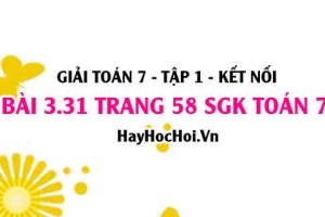 Giải bài 3.31 trang 58 Toán 7 Tập 1 SGK Kết nối tri thức
